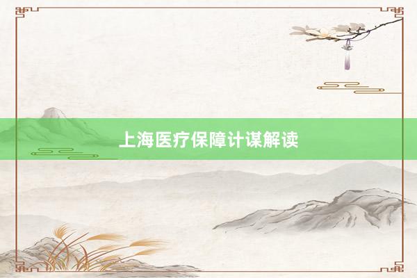 上海医疗保障计谋解读