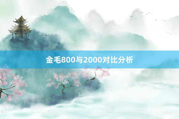 金毛800与2000对比分析